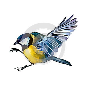 Tit_ÃÂ¡ÃÂ¸ÃÂ½ÃÂ¸Ãâ ÃÂ°_1